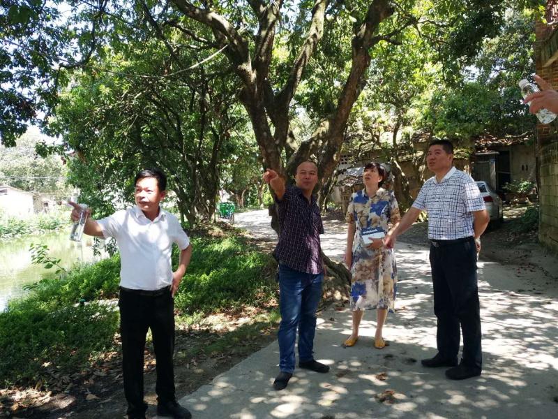 微信圖片_20180626172855.jpg 微信圖片_20180626172855.jpg